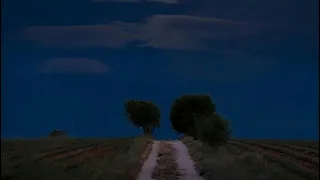 قصص بدر الامي ساعتين كاملة للنوم تجميع نادر موحا 31 بدر اللامي اشتركو في القناة بدون اعلانات 