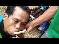Download Lagu 🔴 Seni Ebeg Banyumasan | WAHYU TURONGGO MUDO PUTRA SIRONGGE | Trance | Javanese Mystical Dance
