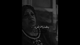 مسلسل بابا المجال مصطفي شعبان ترند تونس 