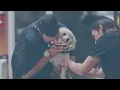 Introducing Acequia Animal Hospital of Albuquerque NM