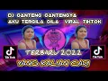 Download Lagu DJ ganteng gantengnya aku tegila gila remix virall terbaru sound Kane jedag jedug