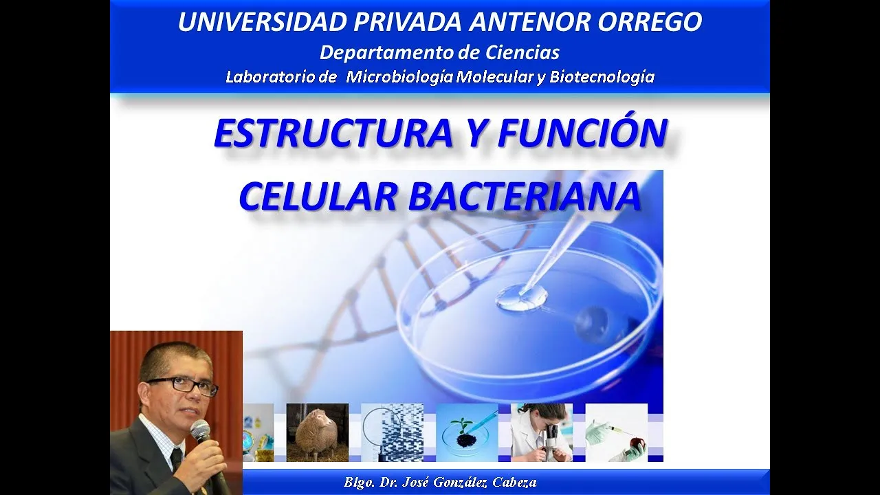 TEMA 3 ESTRUCTURA BACTERIANA Dr GONZALEZ