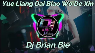 yue liang dai biao wo de xin remix by dj brian bie