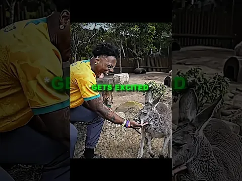 Speed Gets Impressed By Kangaroos.. 🦘🇦🇺