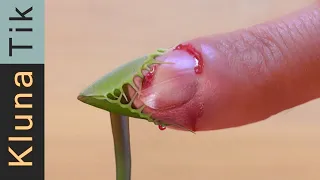 I should not have touched this