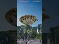 Download Lagu melihat ular cobra raksasa berkepala lima