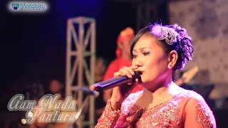 Download Kepudung Abang - Mimi Carini - Aam Nada Pantura Live Blubuk Losari Brebes MP3