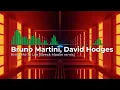 Bruno Martini, David Hodges - Bring Me To Life (Beeck Moolin remix). Контакты под видео 👇