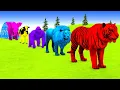 Download Lagu Long Slide Game With Cow Elephant Gorilla Hippopotamus Tiger - 3d Animal Game - Funny 3d Animals