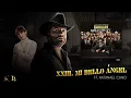 23. Luis R Conriquez, Natanael Cano- Mi Bello Ángel (Visualizar)