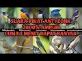 Download Lagu Suara Pikat Burung, Dijamin Dapat Banyak, Sudah Melalui Uji Di Lapangan