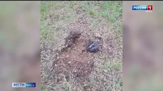 Под Омском задержали несовершеннолетнего «закладчика» с поличным