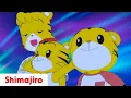 Download Lagu Let's celebrate together happy summer holidays! - Shimajiro holidays special for kids