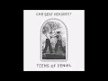 Car Seat Headrest - Drunk Drivers/Killer Whales