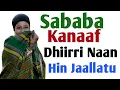 Download Lagu Sababa Kanaaf Dargaggeessi Naan Hin Jaallatu