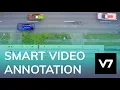 Annotation - V7 Darwin