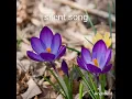 Download Lagu music mp3 juice song new songs copyright free music.