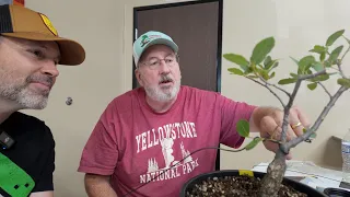 I Got Paired With the Bonsai Club President at My Beginner Class