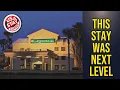 La Quinta Inn by Wyndham Tampa Near Busch Gardens - This Stay Was Next Level Tampa FL