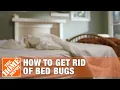 Download Lagu How to Get Rid of Bed Bugs | DIY Pest Control | The Home Depot