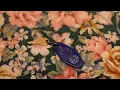 Download Lagu Hayden - Miss Fort Erie (Official Video)