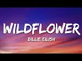 Download Lagu Billie Eilish - WILDFLOWER (Lyrics)