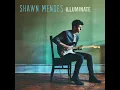 Download Lagu Shawn Mendes - There's Nothing Holdin' Me Back ( Instrumental + Backing vocals)