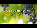 Download Lagu SAI LAMBIN SURUNG | Koor Minggu Inang GKPS 2025 | Pdt Ito Belihar Purba