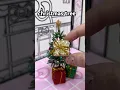 Lagu Decorate a mini tree with me 🎄