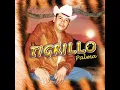 El Tigrillo Palma - Entre Copa Y Copa