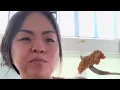 Download Lagu Woman Gets Insecure At Restaurant