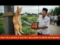 Lagu HEBOH‼️PAK HAJI GERGAJI KUCING, BALASANYA BIKIN SEMUA ORANG MERINDING..