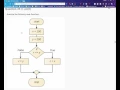 CIT1203-8168 Scripting Midterm exam review