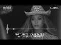 Beyonce & Maxwell - Fortunate Carriages (A JAYBeatz Mashup) #HVLM