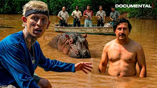 Los HIPOPOTAMOS de PABLO ESCOBAR | DOCUMENTAL