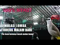 TERAPI SIMULASI GANTANG • PANCINGAN TRUCUKAN GACOR • BIKIN TRUCUK MALAS BUNYI JADI GACOR