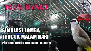 terapi simulasi gantang pancingan trucukan gacor bikin trucuk malas bunyi jadi gacor