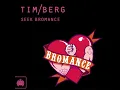 Bromance (Avicii’s Arena Mix) - Tim Berg