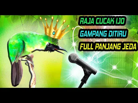 Download MP3 Masteran Cucak Ijo Jernih Gacor Paling Ampuh !! DIJAMIN