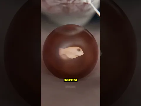 Так Рождаются Сомы 😱