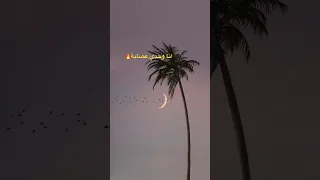 انا وحد ي عصابة Raimix Djrai تصميم فيديوهات اكسبلور Youtube 