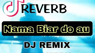 dj batak terbaru na mabiar do au aldo simamora remix fj from junior bass gelerr