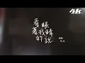 張遠 - 看著我的眼睛說『來 你看著我的眼睛說 你從沒愛過我，再看著我的眼睛說 你一點都不難過。』【高音質|動態歌詞】♫