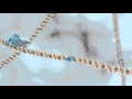 Restriction Enzymes