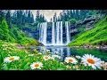 Download Lagu Mooie ontspannende muziek 🍀 Rustgevende melodieën voor diepe slaap, stressverlichting en meditatie