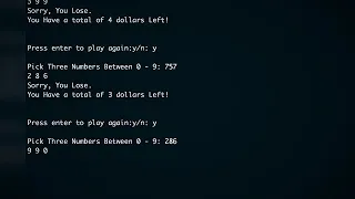 Python Lotto Game