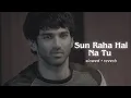 Download Lagu Sun Raha Hai Na - Aashiqui 2 [Slowed+Reverb]