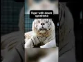 Animals with down syndrome