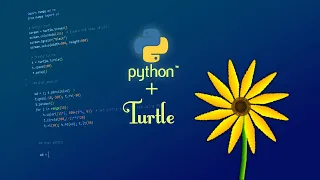 Create a Beautiful Flower with Python Turtle Graphics