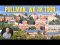 4K Driving Tour of Pullman WA and Washington State University